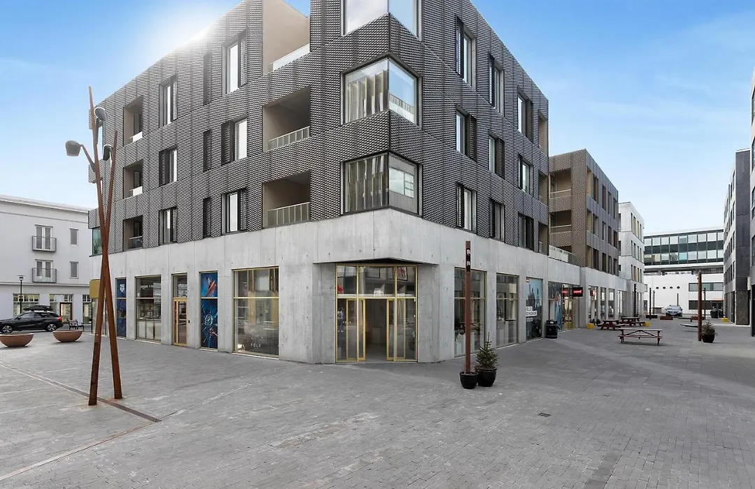 Modern Apt in Central Reykjavík-1