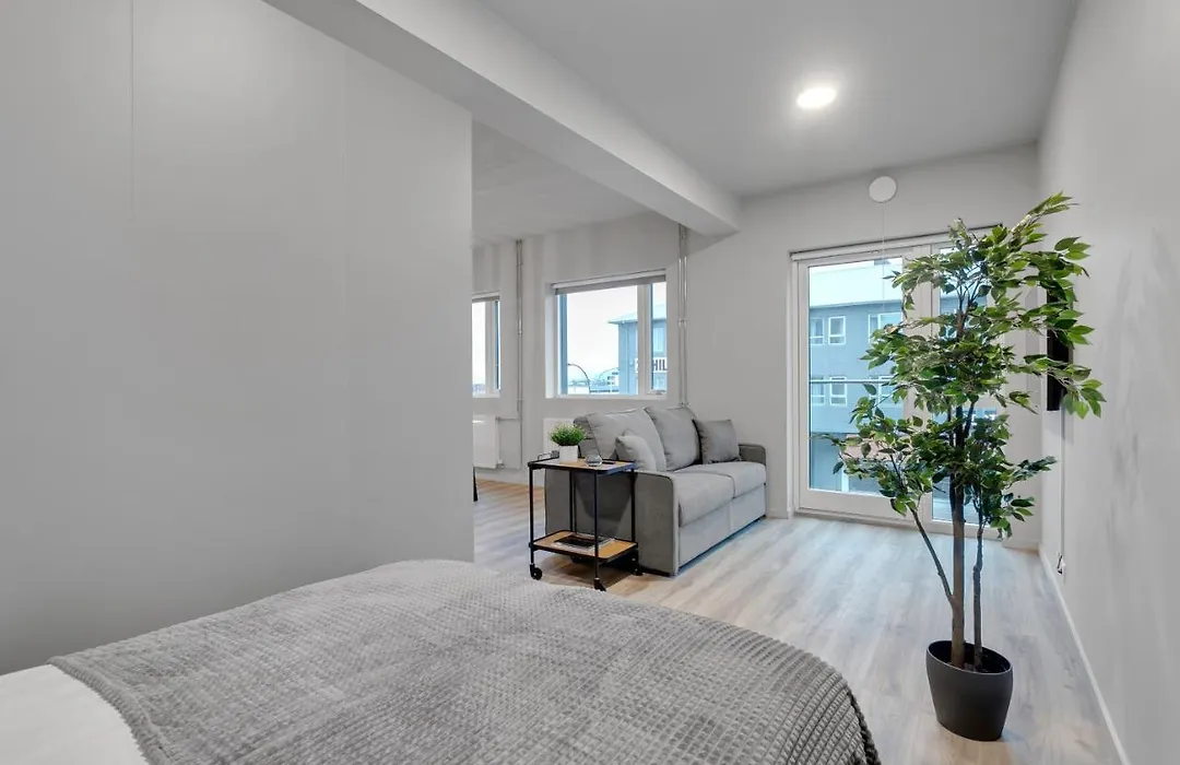 Sunny Central Apartment-1