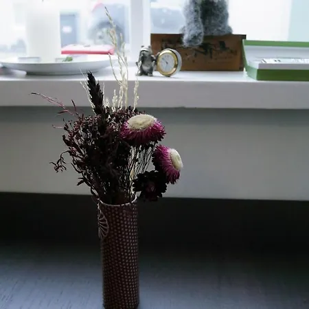 Signy'S Nest-3