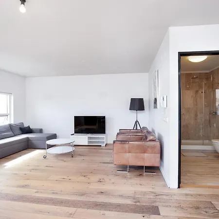 Penthouse Apartment On The Main Shopping Street-2