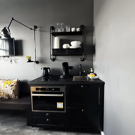 Urban Reykjavik Studios By Heimaleiga-3