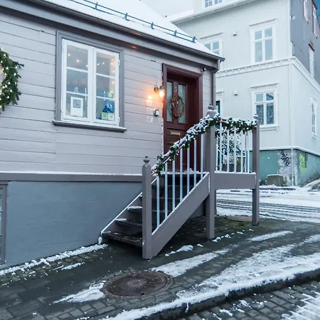 Reykjavik Treasure B&B-3